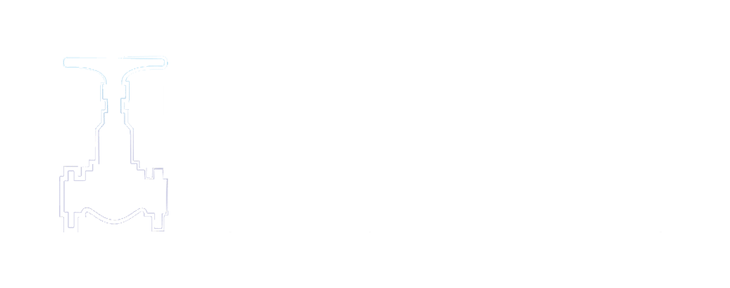 Professional Manufacturer Of Valves In The World